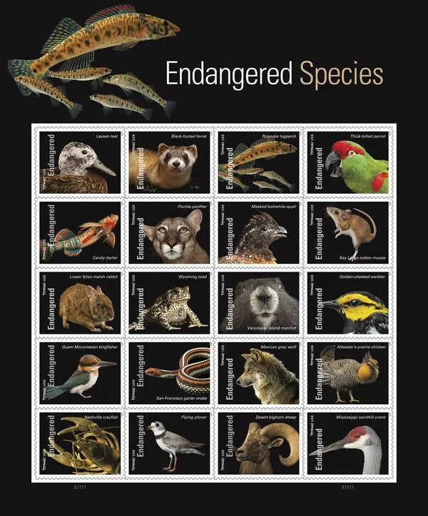 Forever Stamps 2023 Endangered Species-Wildlife Conservation, First-Class Postage