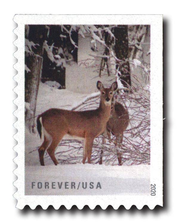 Forever Stamps 2020 Winter Scenes-Seasonal Celebration, First-Class Postage