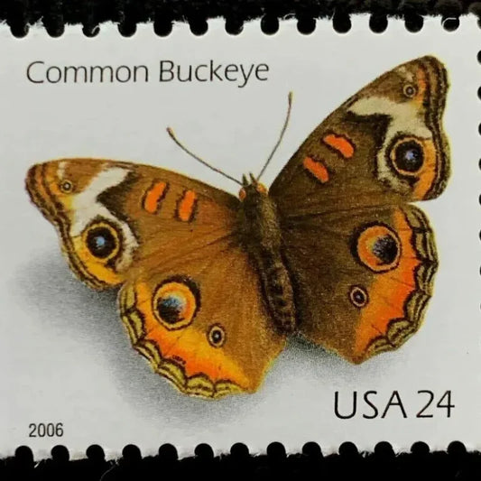 First Class Stamps 2006 Common Buckeye Butterfly-Nature Series, 24¡é Postage