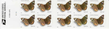 First Class Stamps 2006 Common Buckeye Butterfly-Nature Series, 24¡é Postage