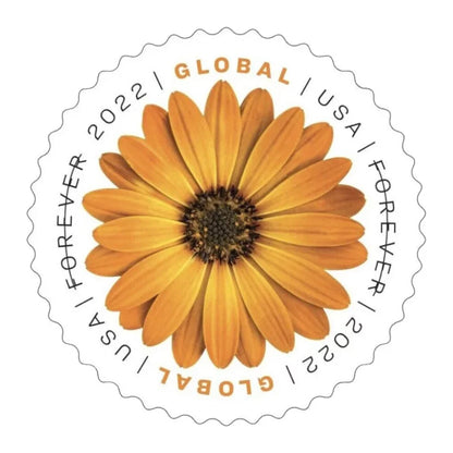 Global Forever Stamps 2022 African Daisy-International Rate