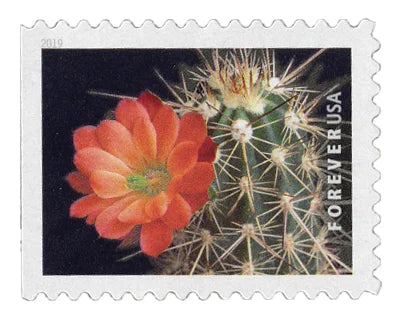 Forever Stamps 2019 Cactus Flowers-Nature Series, First-Class Postage
