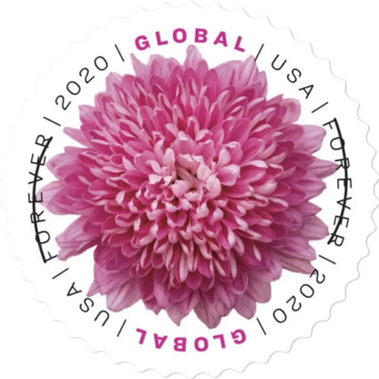 Global Forever Stamps 2020 Chrysanthemum-Floral Collection, International Rate