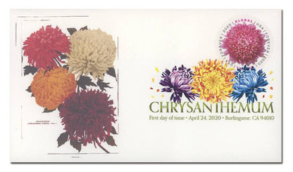 Global Forever Stamps 2020 Chrysanthemum-Floral Collection, International Rate