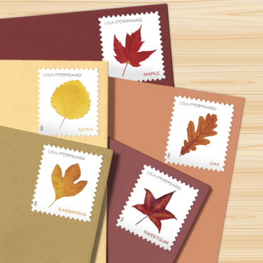 Postcard Rate Stamps 2025 Autumn Leaves-Nature Series, First-Class Rate