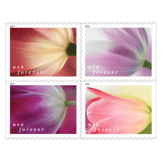 Forever Stamps 2023 Tulip Blossoms-Nature Series, First-Class Postage