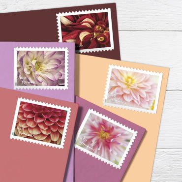 Forever Stamps 2025 Dahlias-Floral Collection, First-Class Postage